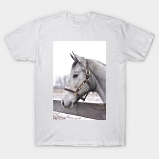 Creative Cause filly T-Shirt